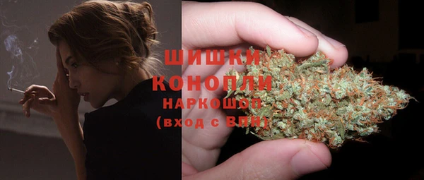 PSILOCYBIN Абдулино