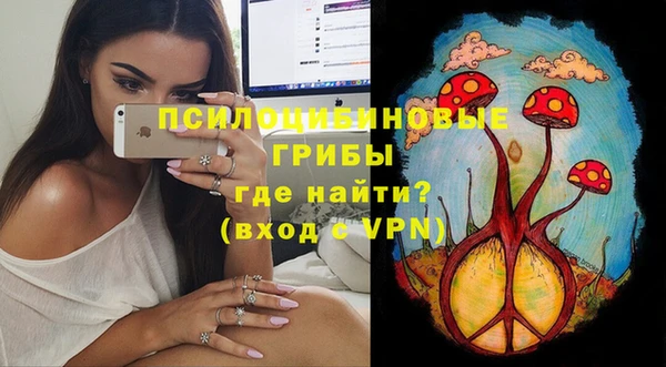 PSILOCYBIN Абдулино