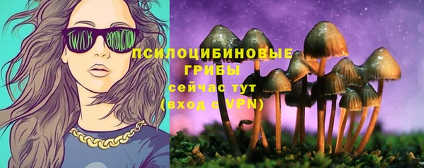 apvp Абаза
